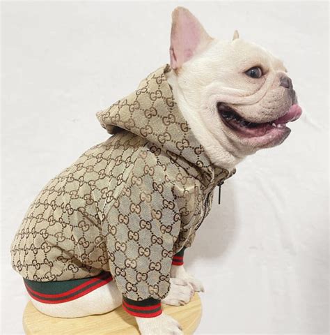 gucci pink coat|gucci coats for pets.